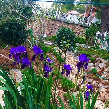 Beach House Starigrad Paklenica Exterior foto